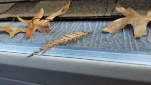 leafblaster